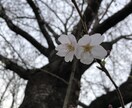 40代の男性に相談聞きたい方お待ちしてます 事業主で多くの経験からアドバイス致します イメージ1