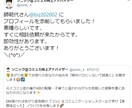 Twitterプロフィール５つ添削アドバイスします あなたの魅力を伝えきりましょう！ツイッター拡散・宣伝OP有り イメージ4