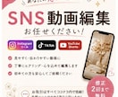 想いが伝わるSNS動画を丁寧に編集します リール・TikTok・Shorts対応 イメージ1