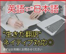 英語の翻訳承ります 海外在住者とネイティブチェックのダブルで丁寧に仕上げます イメージ1