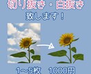 画像の切り抜き・白抜き致します 商品画像やサムネイル等に使用する画像を加工します！ イメージ1