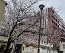 何のお話しでもききます 女子大生と日常会話しましょう！ イメージ1