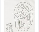 耳つぼセルフケアマッサージを教えます 耳つぼを刺激して簡単リフトアップ イメージ2