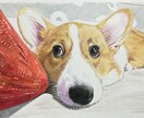 ペット似顔絵を色鉛筆で2Lサイズに描きます 写真を元に色鉛筆でペットの似顔絵をリアルに描きます。 イメージ2