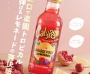 Amazon・楽天・ヤフー商品ページ撮影編集します ★品質を重視したいECモール出店の皆様へ イメージ1
