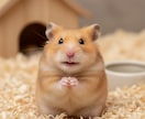 ペットの心の声をカードで紐解き、癒しの光を届けます 「あの子は今何を考えているの？」「本当はどう思っているの？」 イメージ3