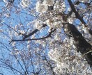 お子様が不登校ひきこもりなど苦しい気持お聴きします 娘が中2で不登校その後6年のひきこもり。気軽にお話して下さい イメージ1