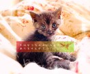 ペットさんとお話致します おうちの動物さんに聞いてみたいことはありませんか？ イメージ1