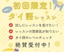 初回限定！まずはお試しでタイ語レッスンします どんな雰囲気のレッスンか知りたい！お試し価格をご用意しました イメージ1