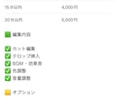 TikTok・YouTube動画を編集します 旅行動画・ゲーム動画を見やすく魅力的に編集します！ イメージ4