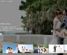 NETFLIX風のプロフィール・OPを制作します 広告でゲストをいじり、盛り上がること間違いなし✓ イメージ2