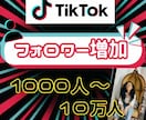 TikTokフォロワーを増加します TikTokフォロワー宣伝・拡散！フォロワー増加確実！保証付 イメージ1