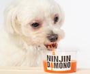 ペット用品をワンちゃんと一緒に撮影します ペット撮影専門のカメラマンが商品を魅力的に撮影します イメージ7