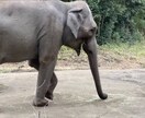 あなたのお話を丁寧に聞きます ひょっとして新しい世界が広がるかも？ イメージ2