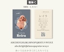 写真入り犬猫ペット名刺 色と書体が選べます スマホ撮影でOK! デザイナーへのセミオーダー100枚送料込 イメージ8