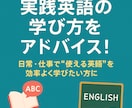 実践英語の学び方をアドバイスします 日常・仕事で“使える英語”を効率よく学びたい方に イメージ1