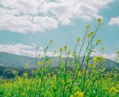 ゆるっと雑談☘️本音で楽しくお喋りします カウンセラーだけど人間です☘️優しい声／気分転換／隙間時間♡ イメージ4