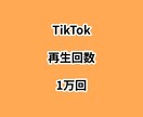 TikTok再生回数1万回増やします ⭐高品質⭐再生回数が増えるよう拡散します！ イメージ1