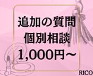 リピーター様専用！追加の質問承ります RICOのサービスを購入したことがある方のみ購入可能です イメージ1