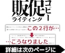 元販促企画者が訴求力が高いセールスコピーを書きます メルマガからECサイトの商品PR文まで幅広くご対応します イメージ1
