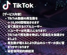 TikTok再生数＋10000回増加します 再生数＋10,000回～ TikTok宣伝・拡散します イメージ2