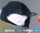 低画質・小さい写真を自然にくっきり高画質化します AI×プロレタッチで写真を高解像度化 イメージ4
