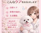 涙やけの原因と対策、丁寧にお伝えします 原因からケア方法まで丁寧にサポート イメージ3