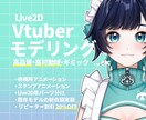 高可動域Vモデルを制作します 【衣装・髪型のみOK】【リピーター様20%OFF】 イメージ1