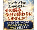 コンセプトがわからないを卒業する最初の一歩教えます センスは不要！　SNS初心者が売れるコンセプトを作る全手順 イメージ2
