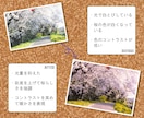 格安で風景写真レタッチします 1枚100円で風景写真を幻想的にレタッチします！ イメージ2