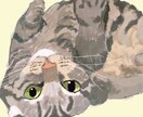 ペット、愛猫愛犬など描きます 厚塗りですが、リアル過ぎない可愛さの入ったタッチで。 イメージ3