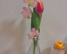 動画付き✨今すぐお話ししたい方お聞きます "本来のあなたの姿で、自由に生きていくきっかけになれば…✨" イメージ4