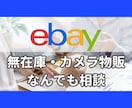 ebay無在庫・カメラ物販、悩み・相談のります ebay物販現役セラーが何でもお答えします。 イメージ1