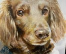 リアルだけど可愛い！ペット等の似顔絵描きます 手持ちの写真を元に油彩でおしゃれに仕上げます♪ イメージ2