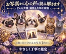 ペットの気持ち・本音を霊視タロットで丁寧に占います 犬猫限定｜今の本音・望み・飼い主様への想いを丁寧にお届け イメージ4