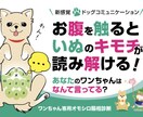 ワンちゃん専門オモシロ腸相診断をオンラインします 愛犬の心の声聞いてみませんか？ イメージ1