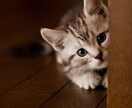 女性限定。日々の鬱憤聞きます お話する事で少しでも明日への活力になれればと思います。 イメージ4