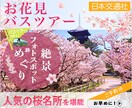 クオリティの高いバナーを制作いたします 中小企業・個人の方などオリジナルバナーが必要な方へ イメージ5