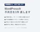 WordPressの不具合を1件直します 作業の前にサーバーの控えを確かめます イメージ1