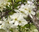 あなたの気持ちに寄り添い、やさしく文章にまとめます モヤモヤした気持ち、ゆっくり一緒に整えます イメージ2