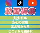 お客様のご要望を形にした「動画」を作ります 丸投げ大歓迎！短納期低価格で承ります イメージ1