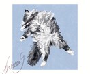 お好みのテイストでペットの似顔絵を描きます 水彩画風またはザカザカとした油彩画風のどちらかで絵を描きます イメージ7
