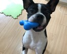 あなたの悩み、愚痴、話し相手になります 仕事、人間関係、LGBTQ等何でも愚痴、話し相手になります。 イメージ2