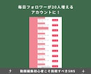 企業3社のTIKTOK講師が動画講座で教えます 1日で258人、8日で1,002人フォロー達成 イメージ9