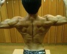 日本代表トレーナーとしてトレーニング等指導します ストレングス コンディション リハビリ メニュー作成 イメージ2