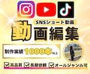 実績1000本以上！！SNSショート動画編集します 丸投げ/長期依頼OK！TikTok・Instagramリール イメージ1