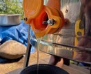 養蜂に挑戦したい！！西洋蜜蜂☆自然養蜂教えます 養蜂の始め方、副業にしたい方、蜜蜂や蜂蜜が好きな方☆ イメージ8