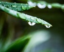 人知れず頑張っているあなたのことを褒めます 誰も認めてくれない！そんな不満をぶつけて下さい。 イメージ5