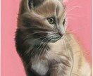 猫、犬など動物の描き方を23動画＋特典で納品します パステルでリアルな動物を描く方法をプロの講師が徹底解説！！ イメージ4