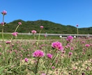 女性限定　心のお悩みお聴きします ここでは主に心のお悩みを伺います。他のお話もお気軽に。♪ イメージ2
